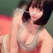 ヒメ日記 2025/10/17 14:14 投稿 うさぎ チューリップ福井別館