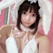 ヒメ日記 2025/10/18 13:14 投稿 うさぎ チューリップ福井別館