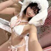 ヒメ日記 2025/10/19 14:34 投稿 うさぎ チューリップ福井別館