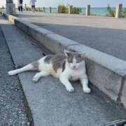 ヒメ日記 2025/12/18 22:20 投稿 ことね 手こき＆オナクラ 大阪はまちゃん