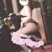 ヒメ日記 2025/10/25 10:55 投稿 せな clubさくら梅田店