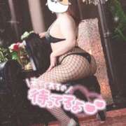 せな せな（clubさくら梅田店） clubさくら梅田店