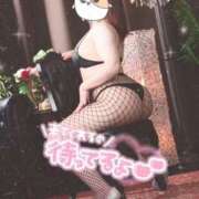 ヒメ日記 2026/04/14 11:15 投稿 せな clubさくら梅田店