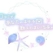 ヒメ日記 2024/11/25 10:30 投稿 さくらんぼ 五反田サンキュー