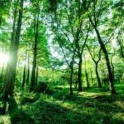 ヒメ日記 2025/09/13 08:14 投稿 華 角海老石亭