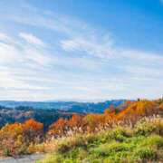 ヒメ日記 2025/09/21 08:26 投稿 華 角海老石亭