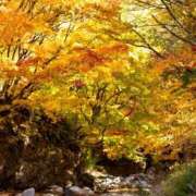 ヒメ日記 2025/11/02 07:34 投稿 華 角海老石亭