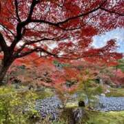 ヒメ日記 2025/11/22 08:22 投稿 華 角海老石亭