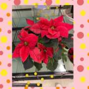 ヒメ日記 2025/11/22 17:38 投稿 華 角海老石亭