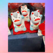 ヒメ日記 2025/11/23 17:28 投稿 華 角海老石亭