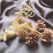 ヒメ日記 2025/11/30 10:18 投稿 華 角海老石亭