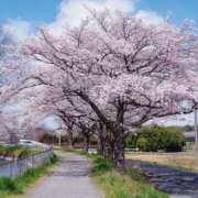 ヒメ日記 2026/03/22 07:44 投稿 華 角海老石亭