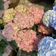 ヒメ日記 2026/06/06 20:11 投稿 華 角海老石亭