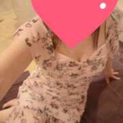 ヒメ日記 2026/01/31 08:25 投稿 桃花 角海老石亭