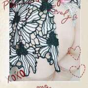 ヒメ日記 2024/12/12 08:50 投稿 いろは 脱がされたい人妻 宇都宮店