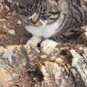 ヒメ日記 2025/01/15 09:10 投稿 いろは 脱がされたい人妻 宇都宮店