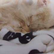 ヒメ日記 2025/01/29 09:00 投稿 いろは 脱がされたい人妻 宇都宮店