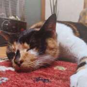 ヒメ日記 2025/01/30 13:10 投稿 いろは 脱がされたい人妻 宇都宮店