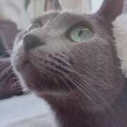 ヒメ日記 2025/01/31 11:44 投稿 いろは 脱がされたい人妻 宇都宮店