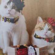 ヒメ日記 2025/02/03 11:38 投稿 いろは 脱がされたい人妻 宇都宮店