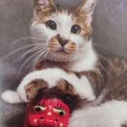 ヒメ日記 2025/02/04 09:20 投稿 いろは 脱がされたい人妻 宇都宮店