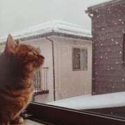 ヒメ日記 2025/02/06 08:53 投稿 いろは 脱がされたい人妻 宇都宮店