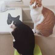 ヒメ日記 2025/02/07 09:00 投稿 いろは 脱がされたい人妻 宇都宮店