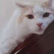 ヒメ日記 2025/02/08 08:52 投稿 いろは 脱がされたい人妻 宇都宮店