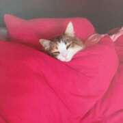 ヒメ日記 2025/02/11 09:10 投稿 いろは 脱がされたい人妻 宇都宮店