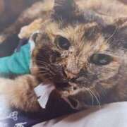 ヒメ日記 2025/02/13 08:50 投稿 いろは 脱がされたい人妻 宇都宮店