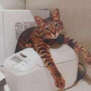 ヒメ日記 2025/02/15 10:40 投稿 いろは 脱がされたい人妻 宇都宮店