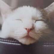 ヒメ日記 2025/02/18 09:00 投稿 いろは 脱がされたい人妻 宇都宮店