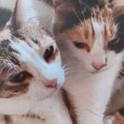 ヒメ日記 2025/02/20 09:00 投稿 いろは 脱がされたい人妻 宇都宮店