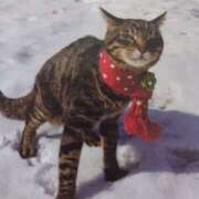 ヒメ日記 2025/02/21 09:00 投稿 いろは 脱がされたい人妻 宇都宮店