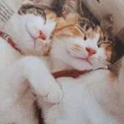 ヒメ日記 2025/02/24 09:06 投稿 いろは 脱がされたい人妻 宇都宮店