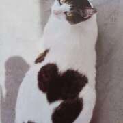 ヒメ日記 2025/03/15 15:01 投稿 いろは 脱がされたい人妻 宇都宮店