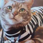 ヒメ日記 2025/03/23 18:45 投稿 いろは 脱がされたい人妻 宇都宮店