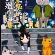 ヒメ日記 2025/03/25 15:54 投稿 いろは 脱がされたい人妻 宇都宮店