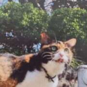 ヒメ日記 2025/03/31 09:14 投稿 いろは 脱がされたい人妻 宇都宮店