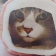 ヒメ日記 2025/04/02 07:00 投稿 いろは 脱がされたい人妻 宇都宮店