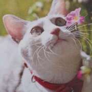 ヒメ日記 2025/04/16 23:51 投稿 いろは 脱がされたい人妻 宇都宮店