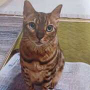 ヒメ日記 2025/04/18 09:21 投稿 いろは 脱がされたい人妻 宇都宮店