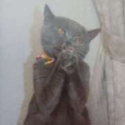 ヒメ日記 2025/04/22 22:50 投稿 いろは 脱がされたい人妻 宇都宮店