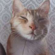 ヒメ日記 2025/04/24 01:02 投稿 いろは 脱がされたい人妻 宇都宮店