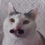 ヒメ日記 2025/04/24 23:10 投稿 いろは 脱がされたい人妻 宇都宮店