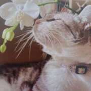 ヒメ日記 2025/04/28 07:30 投稿 いろは 脱がされたい人妻 宇都宮店