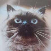 ヒメ日記 2025/04/30 07:20 投稿 いろは 脱がされたい人妻 宇都宮店