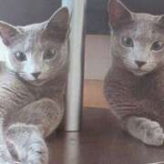 ヒメ日記 2025/05/02 07:40 投稿 いろは 脱がされたい人妻 宇都宮店