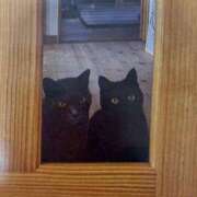 ヒメ日記 2025/05/04 07:20 投稿 いろは 脱がされたい人妻 宇都宮店