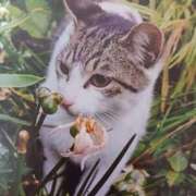 ヒメ日記 2025/05/05 07:00 投稿 いろは 脱がされたい人妻 宇都宮店